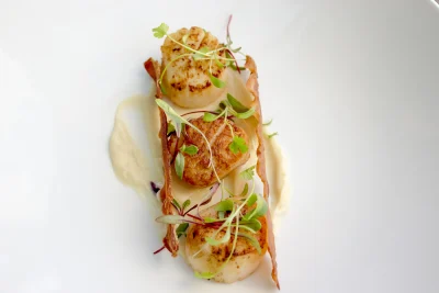 Sea Scallops Recipe with Silky Cauliflower Purée & Wine Pairing